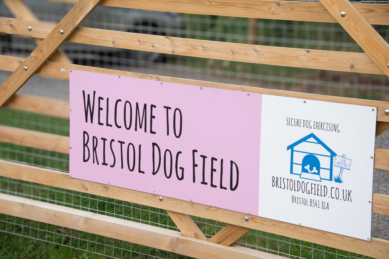 Bristol Dog Field secure private dog field in Bristol, BS41 8LA