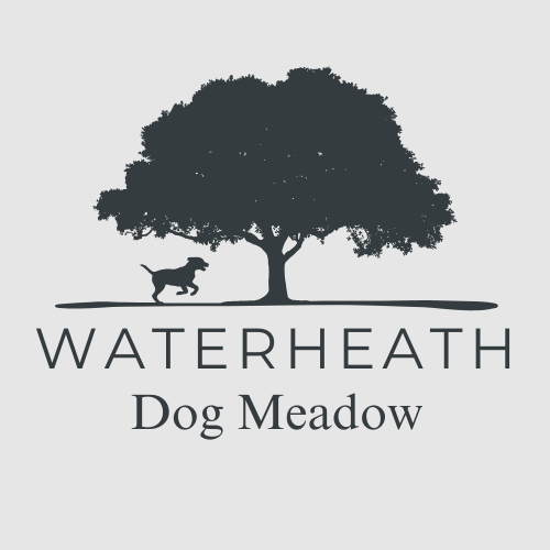 Waterheath Dog Meadow secure private dog field in Beccles, NR34 0DQ