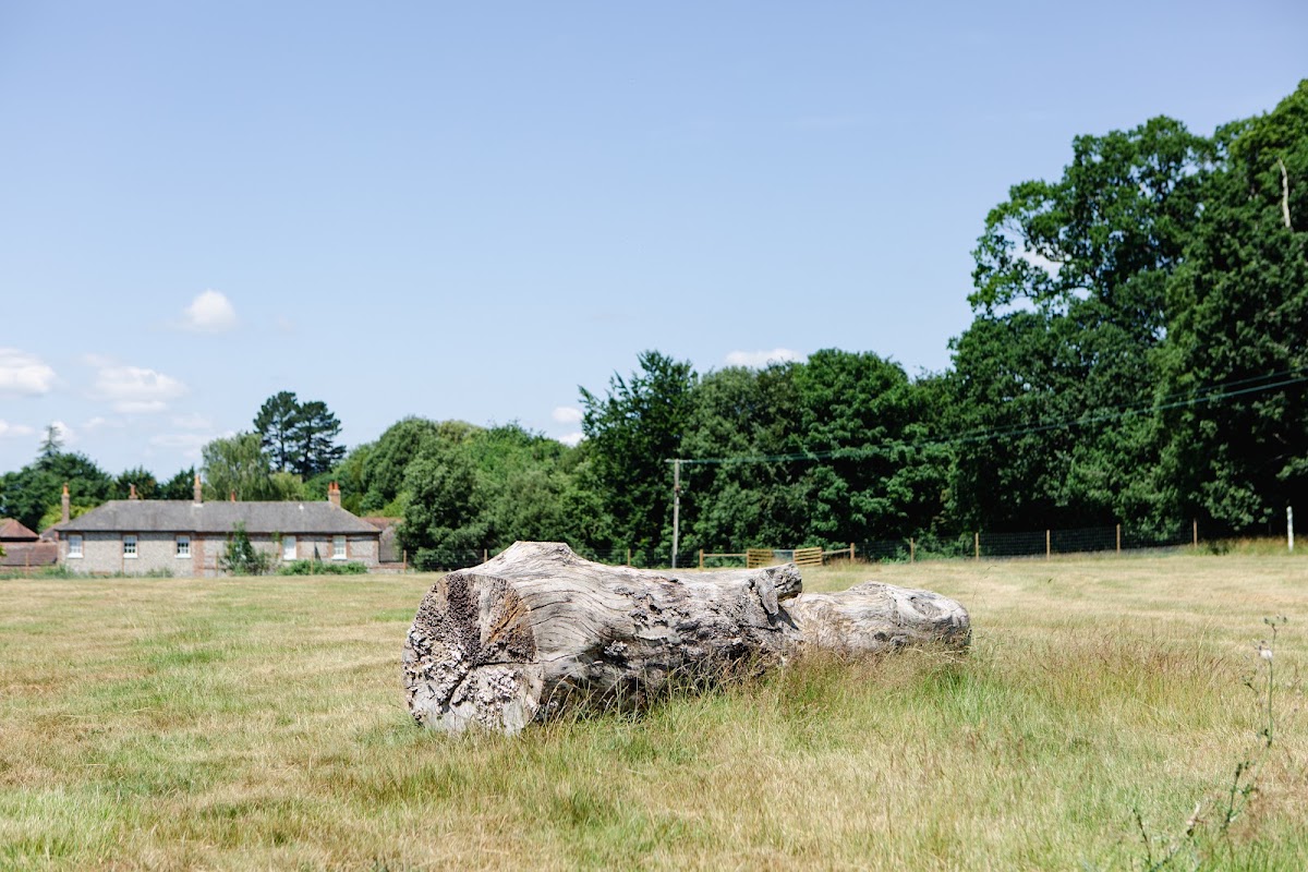 Tapsters Paddock secure private dog field in Chichester, PO18 0QB