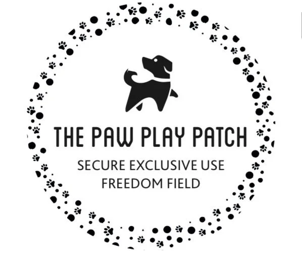 The Paw Play Patch secure private dog field in Bathgate, EH48 3BU