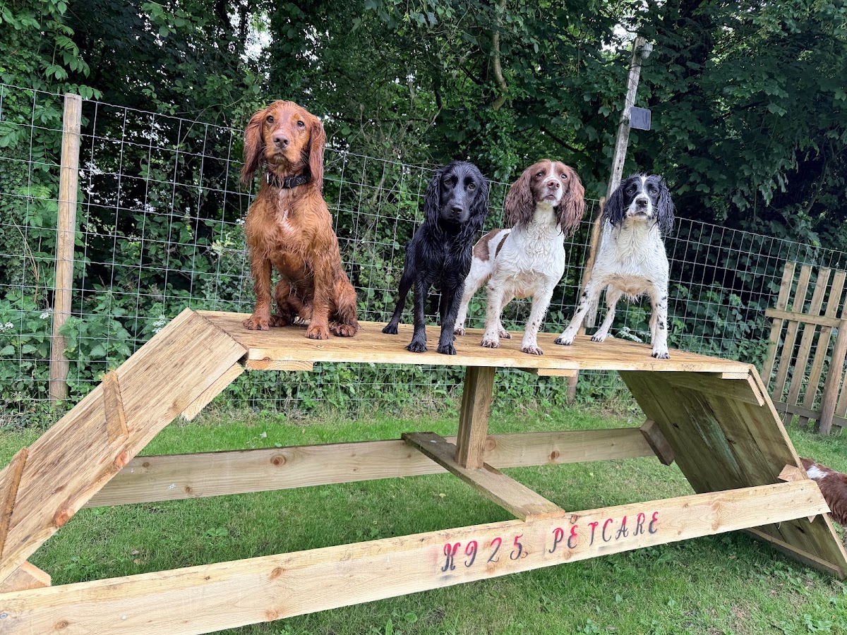 K925 Dog Park secure private dog field in Milnthorpe, LA7 7NZ
