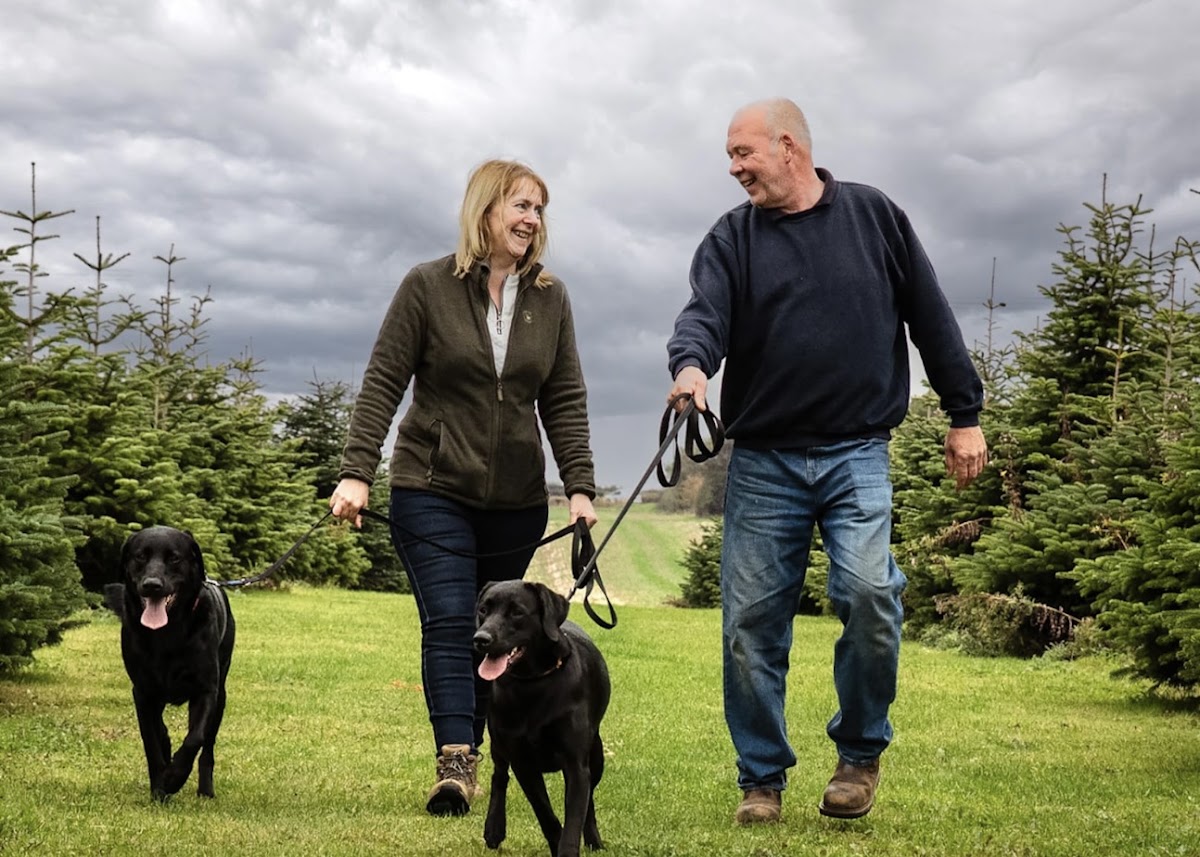 Tails in The Trees Secure Dog Field secure private dog field in Barrow-upon-Humber, DN19 7EE