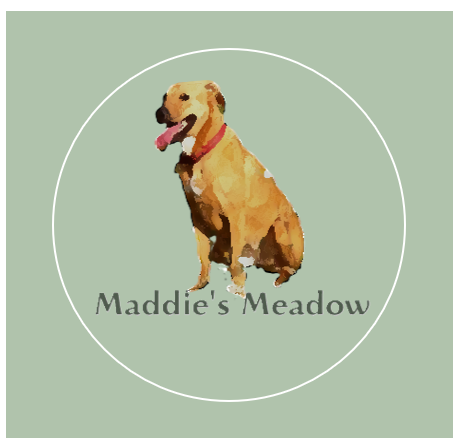 Maddies Meadow secure private dog field in Sandown, PO36 0LU