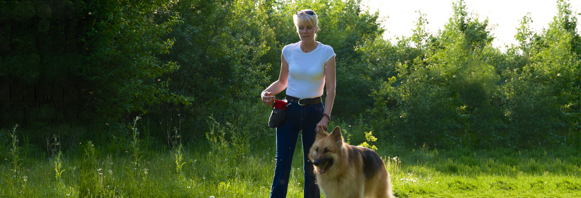 Specialist Dog Training Kent secure private dog field in Sittingbourne, ME9 8JT