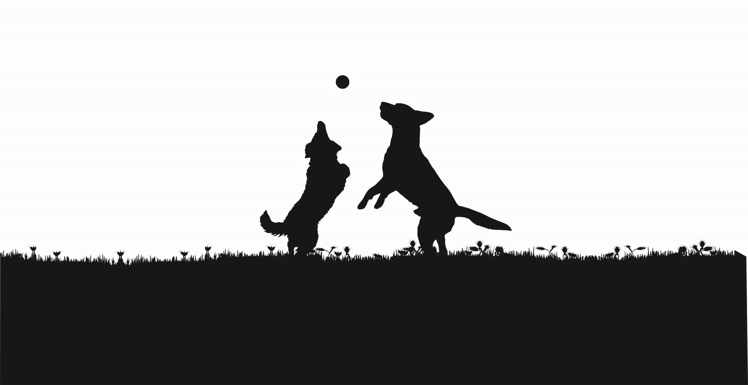 Drumgley Dog Park secure private dog field in Forfar, DD8 1PW