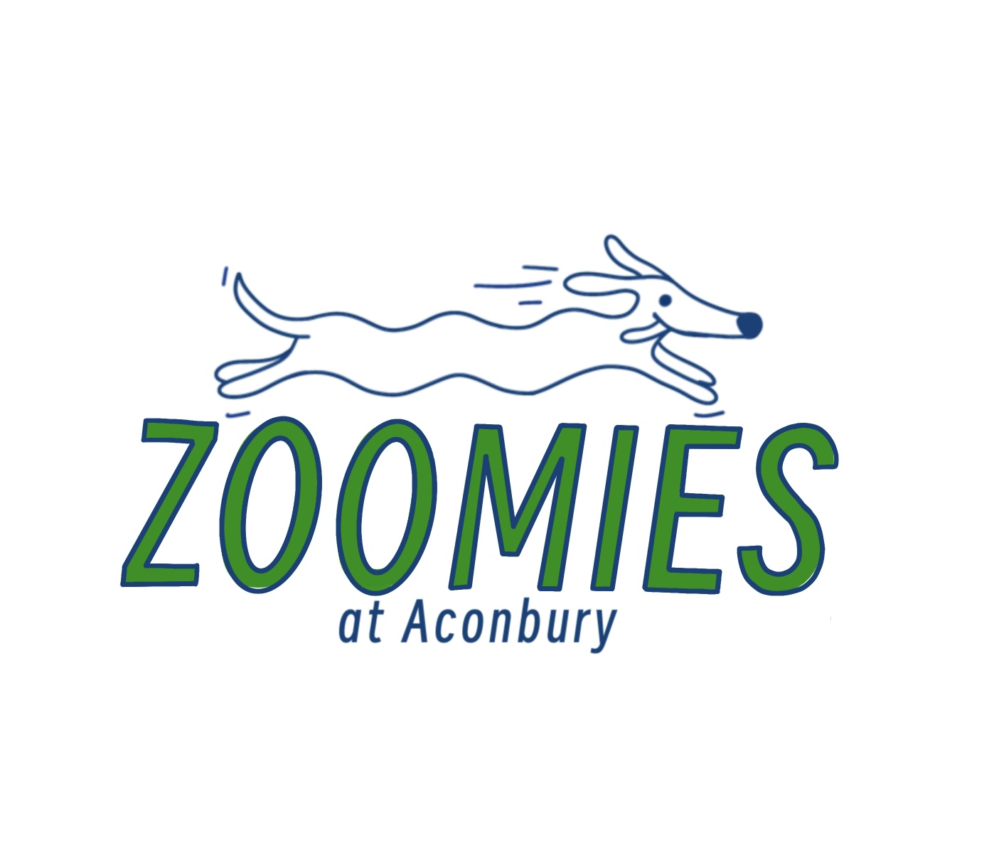 Zoomies at Aconbury secure private dog field in Hereford, HR2 6PQ
