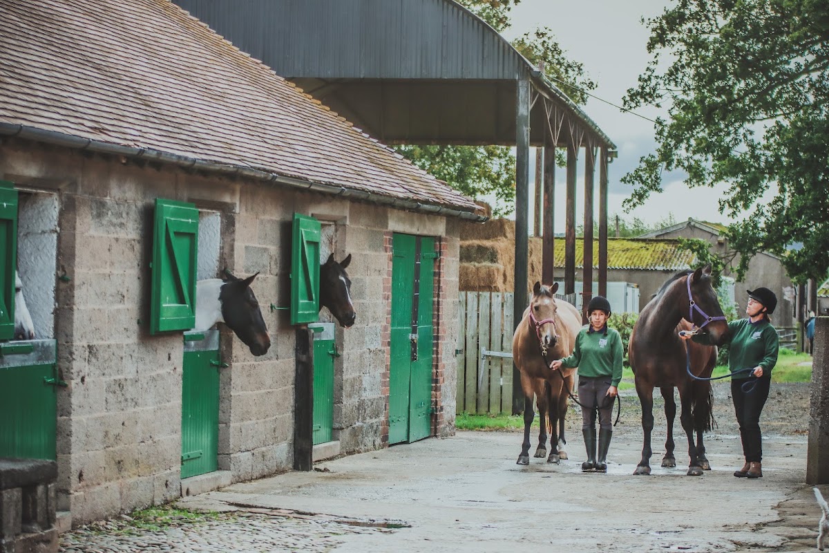 Berriewood Farm secure private dog field in Shrewsbury, SY5 7NN