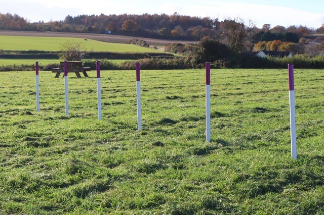 Paws In The Fields secure private dog field in Whiteparish, SP5 2QG