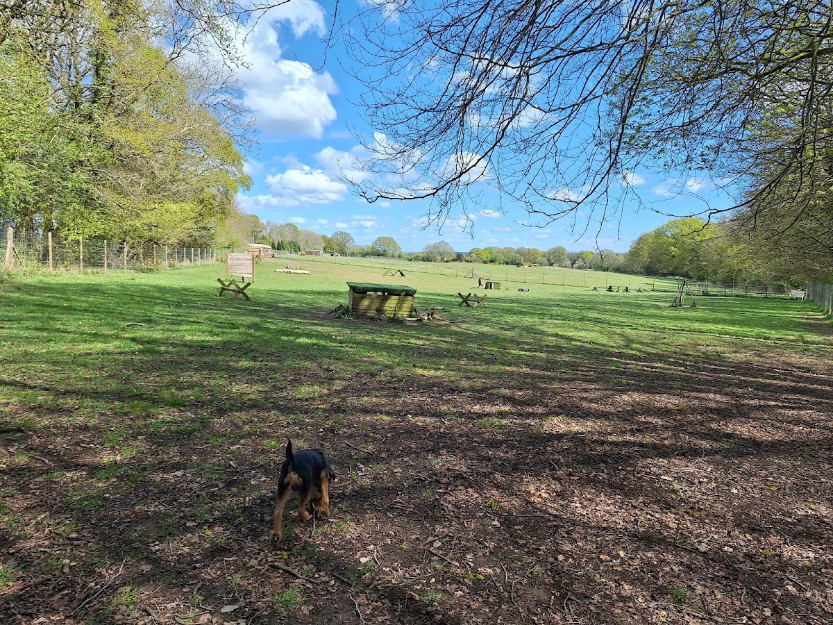 Zoomies4Paws secure private dog field in Bradley Rd, BA12 7JY