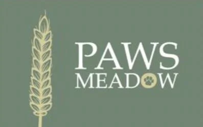 Paws Meadow Hampshire secure private dog field in Paws, SO24 0JH
