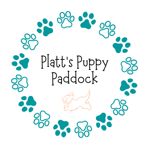 Platt's Puppy Paddock secure private dog field in Llanfairfechan, LL33 0HL