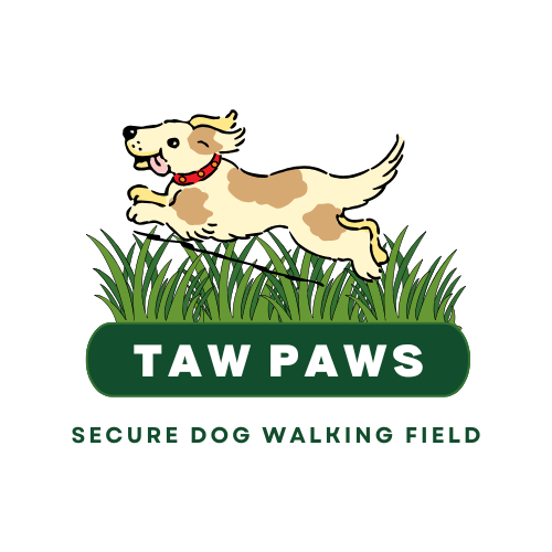 TawPaws - Secure Dog Field secure private dog field in Barnstaple, EX31 3QQ