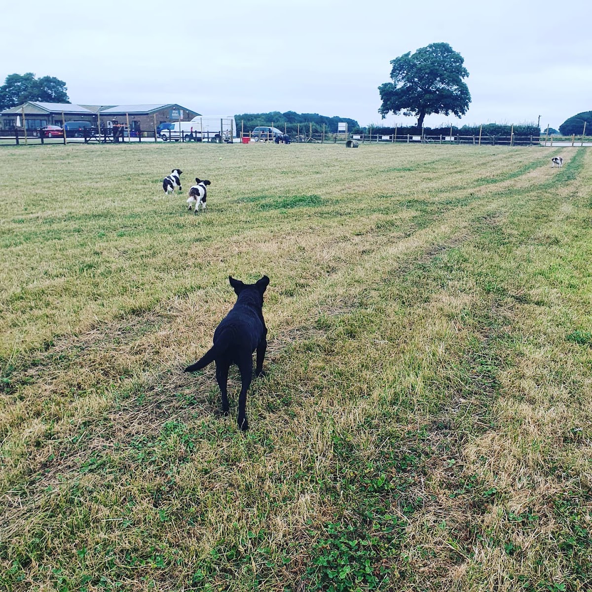 Forpets Enclosed Dog Walking Field secure private dog field in Brackenholme, YO8 6EJ