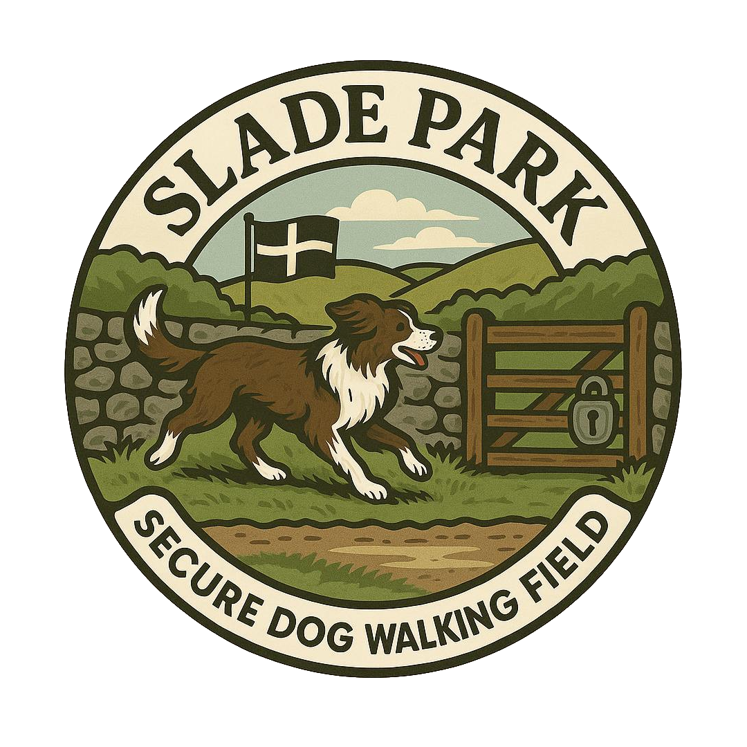 Slade Park - Secure Dog Paddock secure private dog field in Bodmin, PL30 5BA