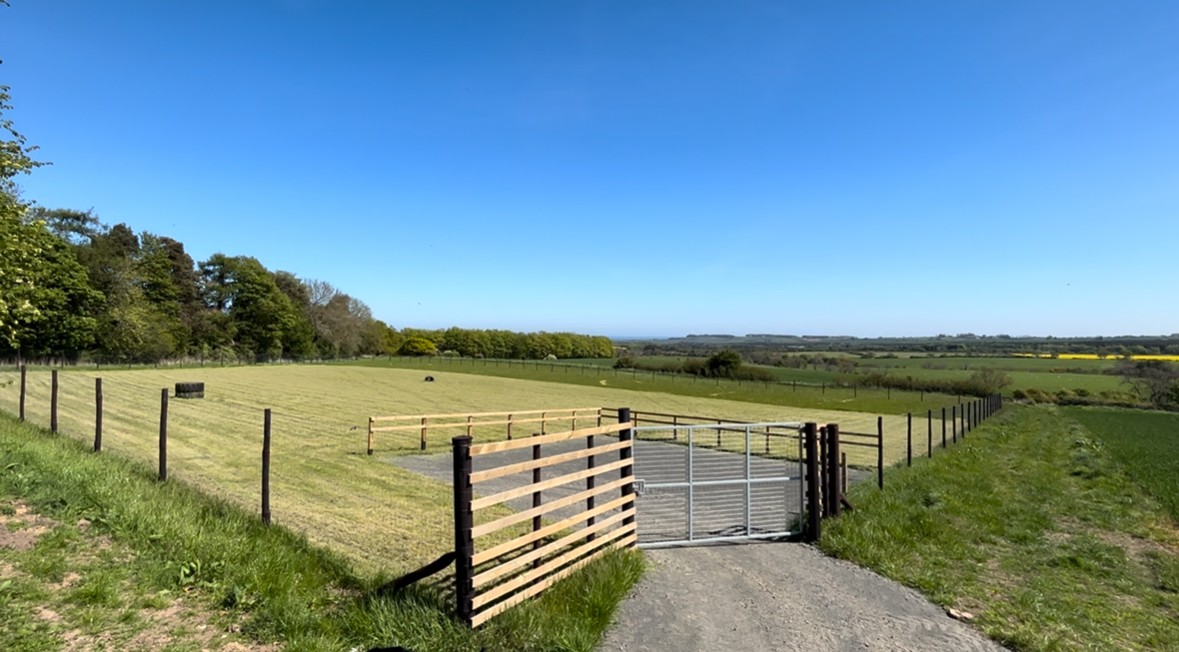 Alnwick Bark Park secure private dog field in Alnwick, NE66 2JE