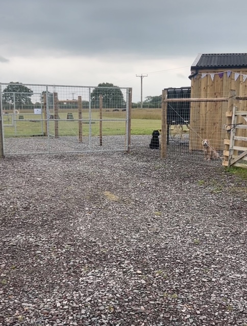 Off the Leash Carlisle Secure Dog Field secure private dog field in Carlisle, CA5 6LL
