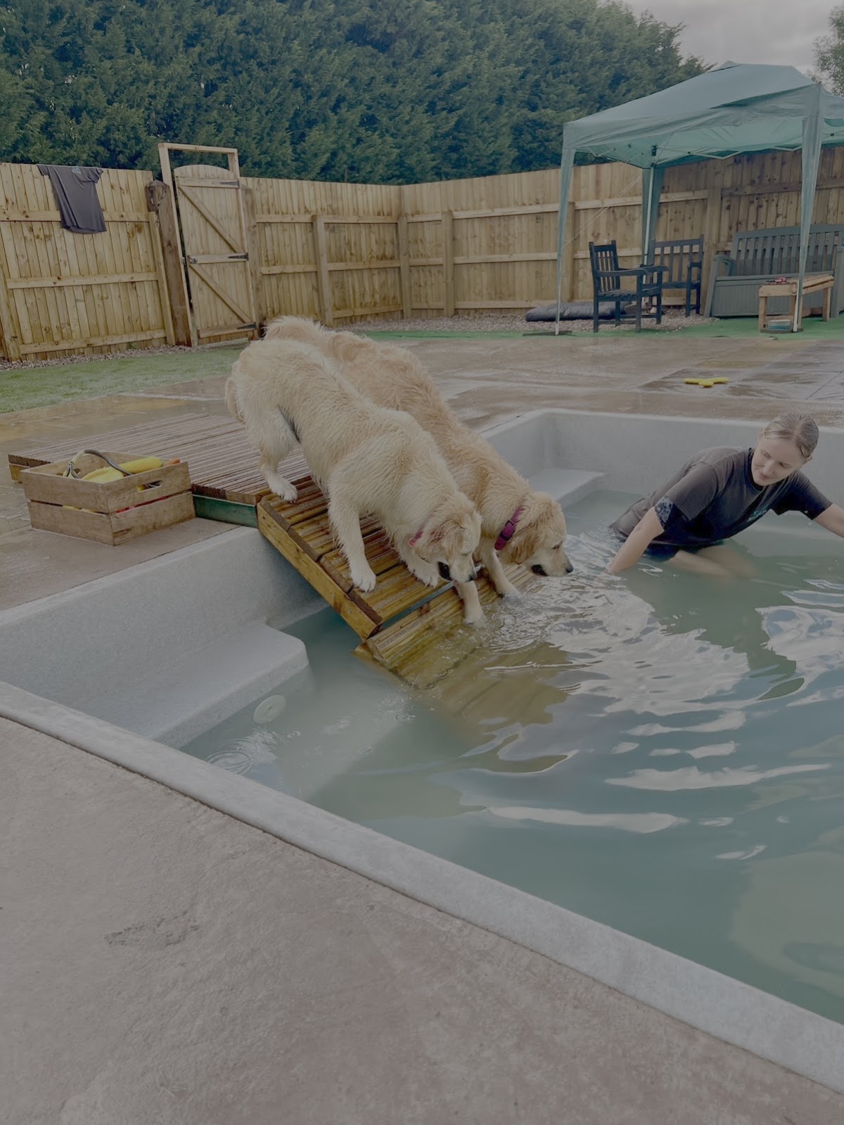 Wag and Splash secure private dog field in Stratford-upon-Avon, CV37 0QB