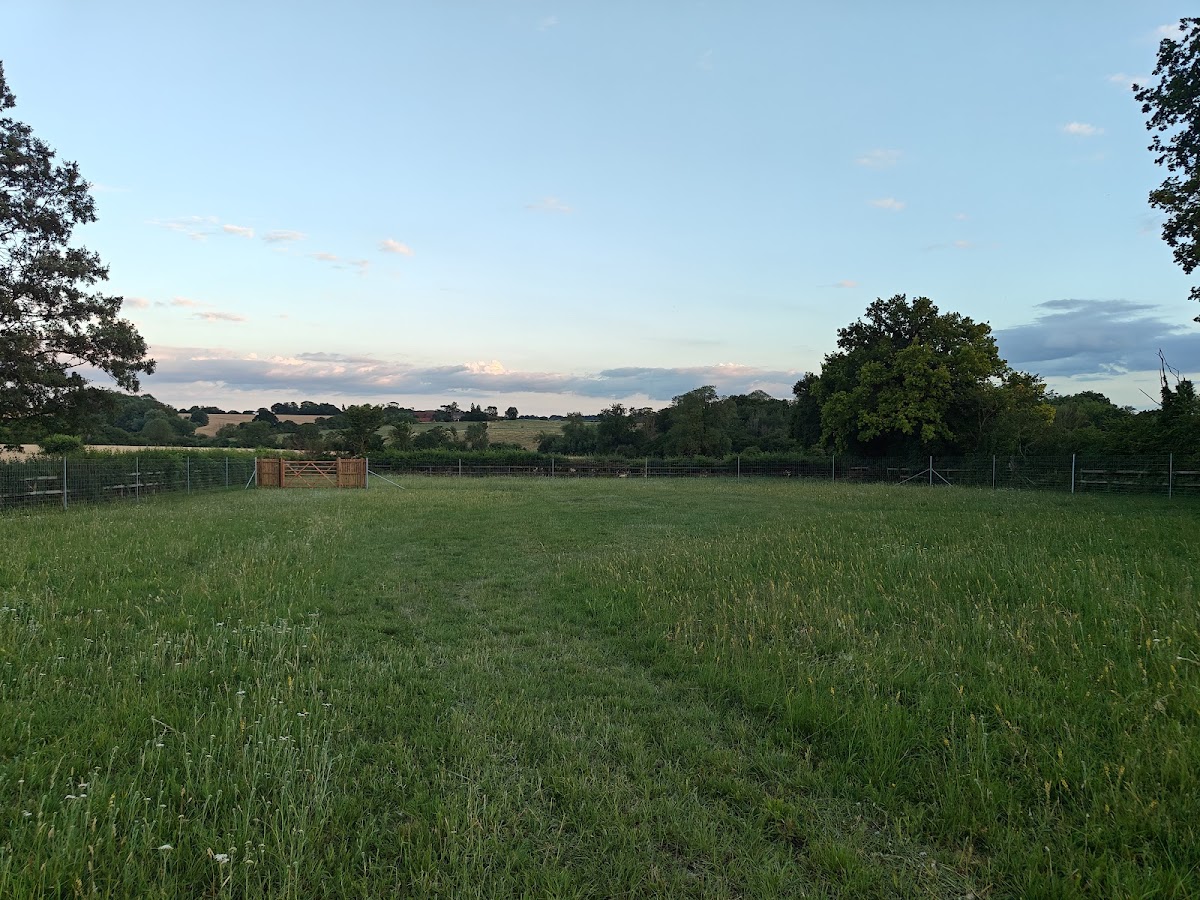 Sheering Dog Field secure private dog field in Bishop's Stortford, CM22 7NR