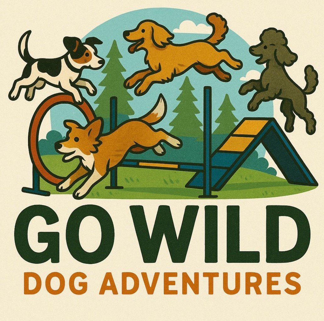Go Wild Dog Adventures secure private dog field in Stowmarket, IP14 3LS