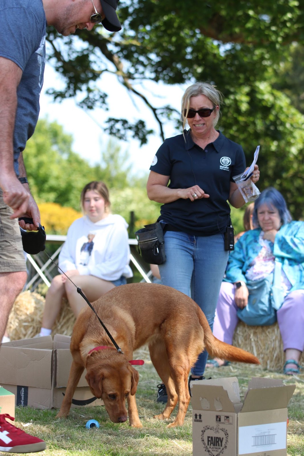 Natalie’s Canine Behaviour Services secure private dog field in Bishop's Stortford, CM22 6NE