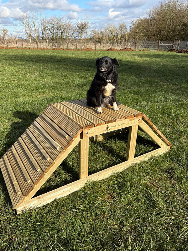 Mobleys Meadow secure private dog field in Chipping Norton, OX7 5SF