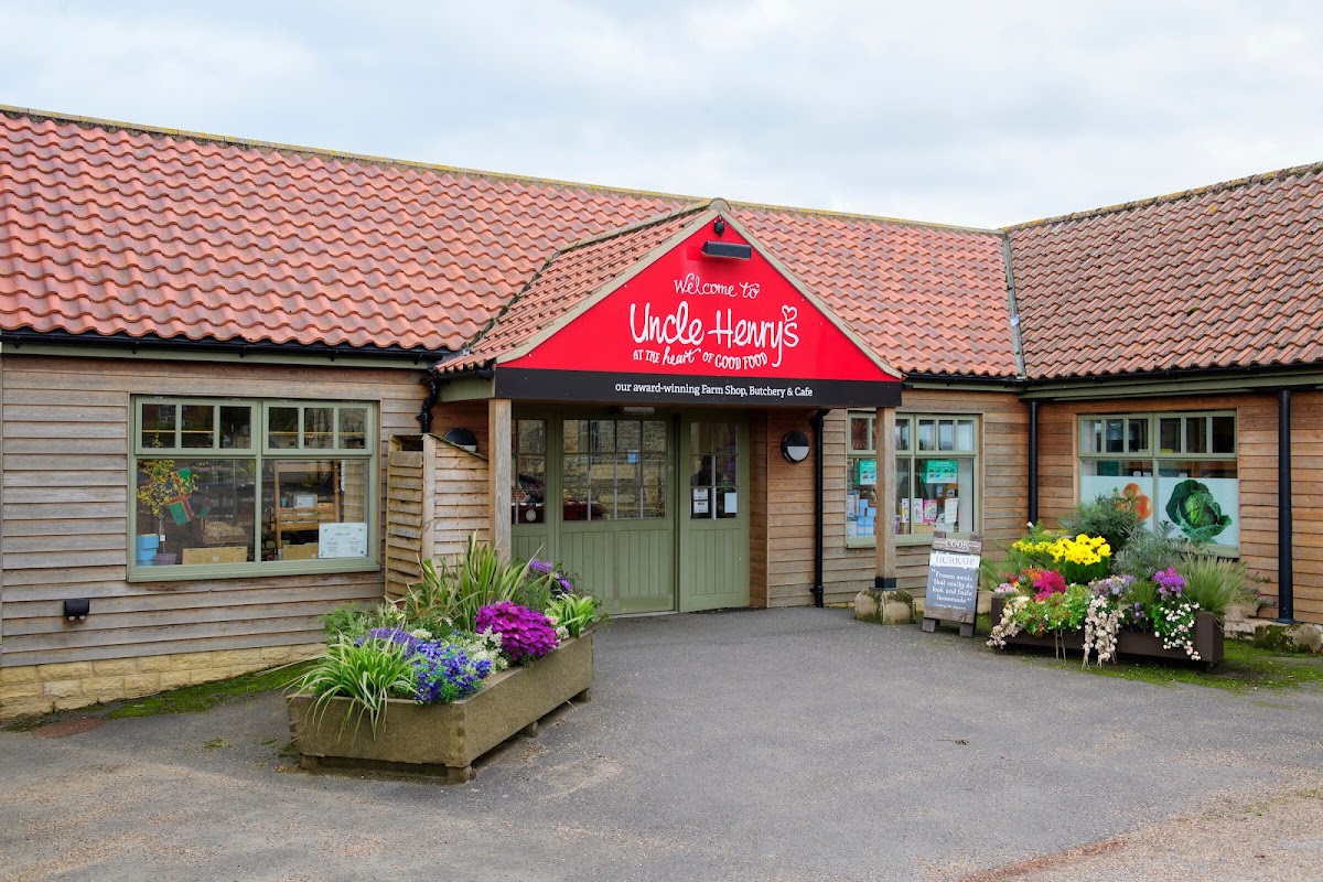 Uncle Henry's secure private dog field in Gainsborough, DN21 4JD