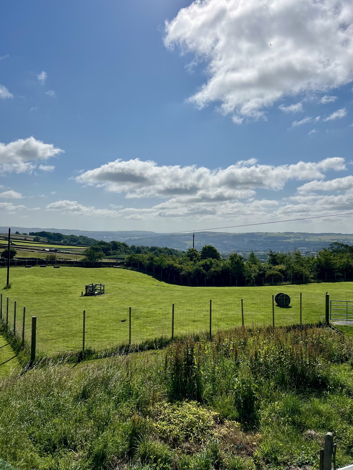 Whorls Walkies secure private dog field in Tarn Ln, BD20 6QY