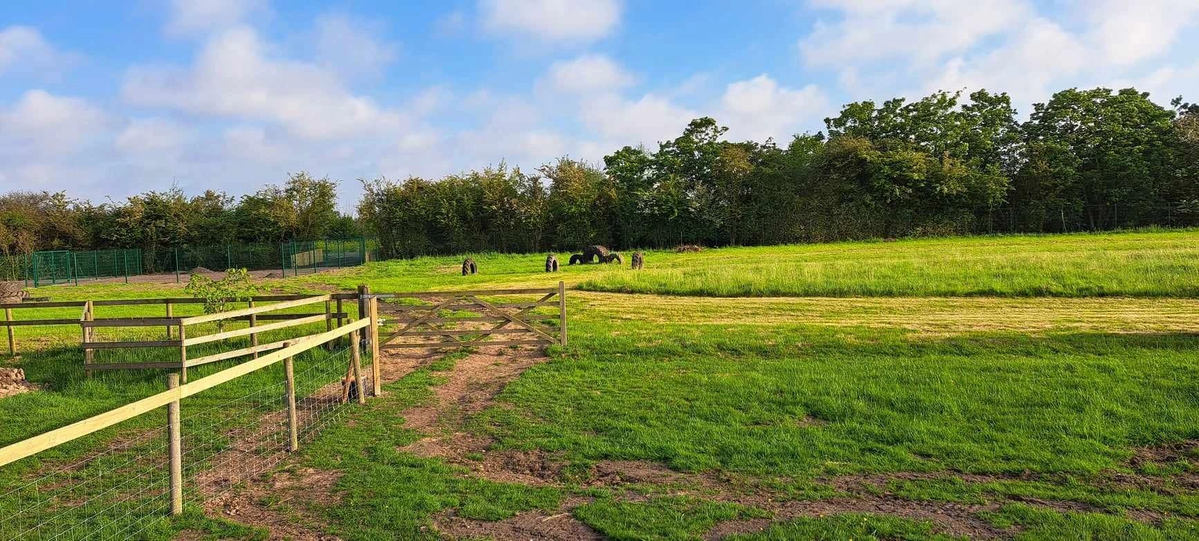 Huttoft Hounds secure private dog field in Alford, LN13 9RN