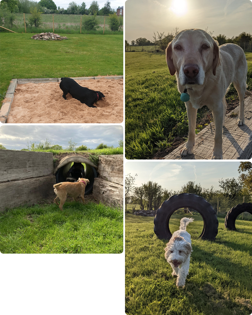 Let Loose Dog Park secure private dog field in Whitchurch, SY13 2NA