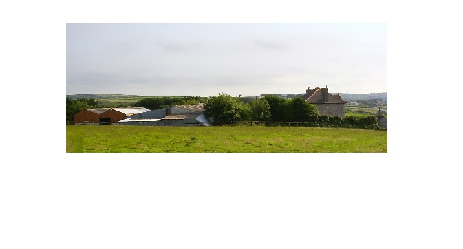 Channel View Farm secure private dog field in Redruth, TR15 2DJ