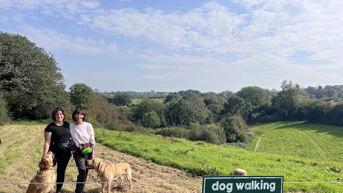 Cowpots Dog Walking Field secure private dog field in Whitland, SA34 0NG