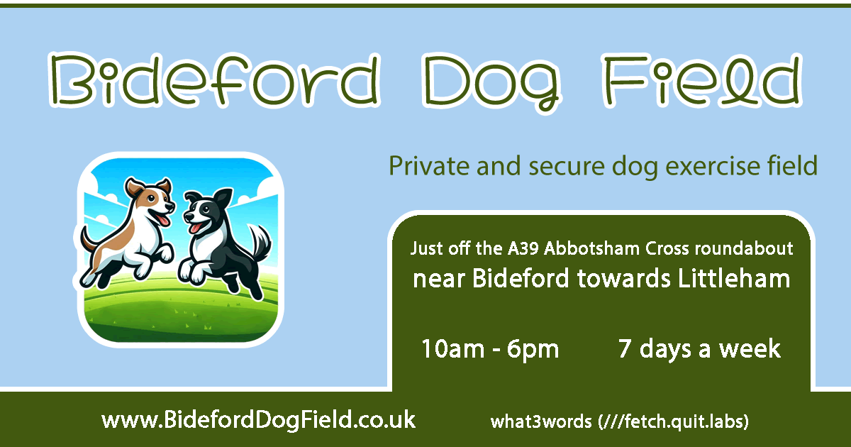 Bideford Dog Field secure private dog field in Bideford, EX39 5EE