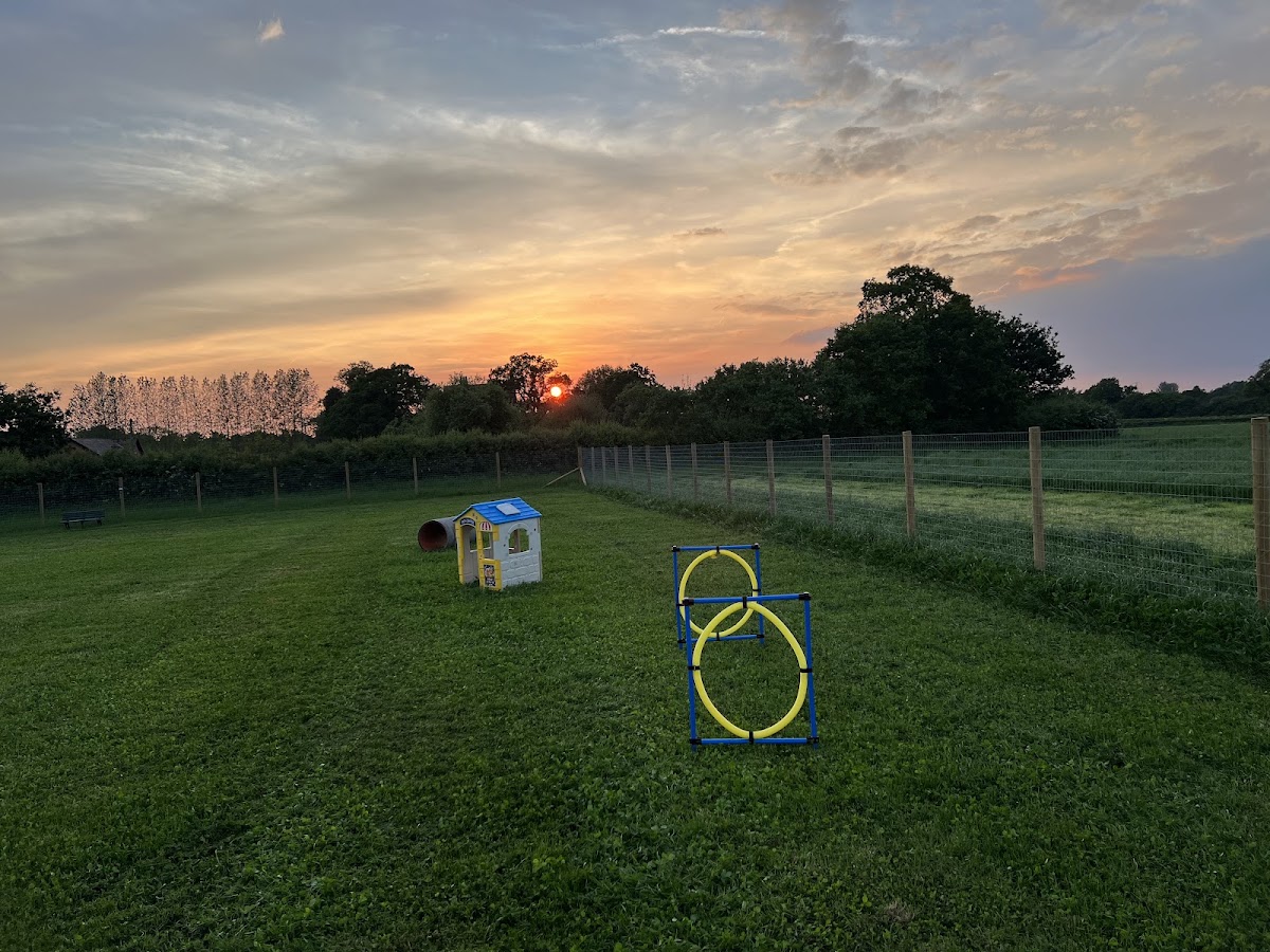 Mobberley Dog Park secure private dog field in cheshire, WA16 7QR