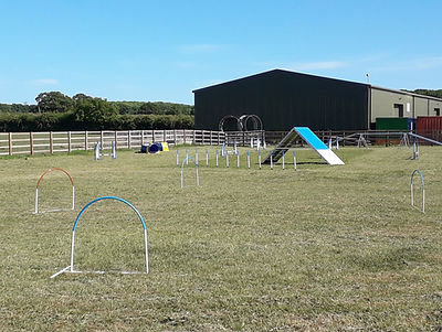 Fidos Training Centre Berkshire secure private dog field in Bracknell, RG42 5RY