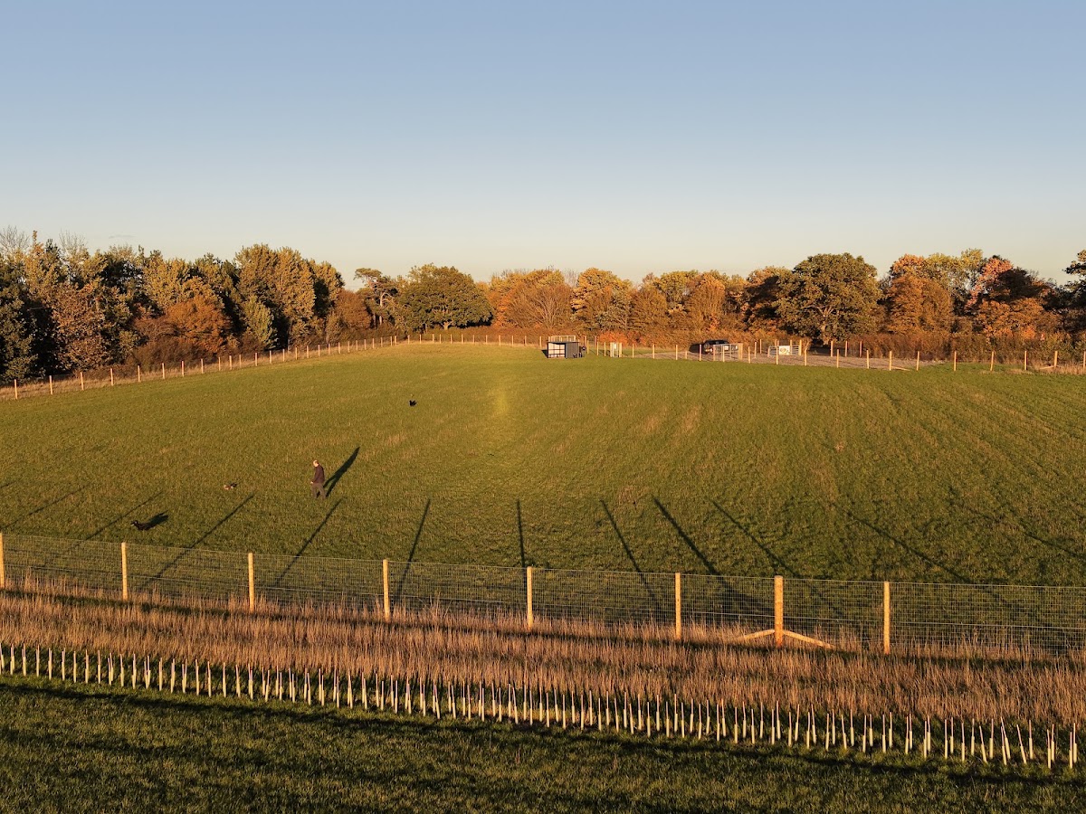 Rachel's Doggy Field secure private dog field in Braintree, CM77 8AD