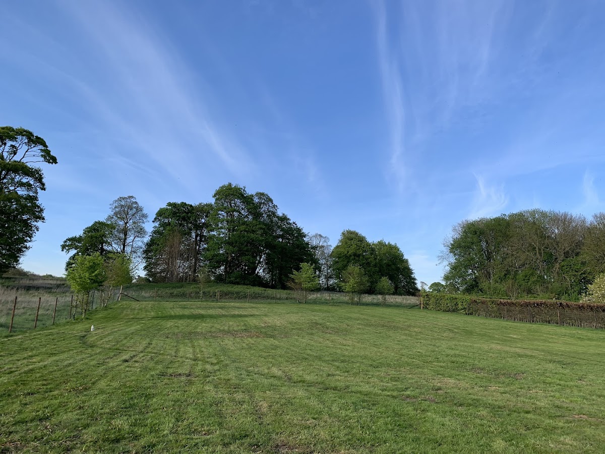 Limber Dog Park Ltd secure private dog field in Grimsby, DN37 8JU