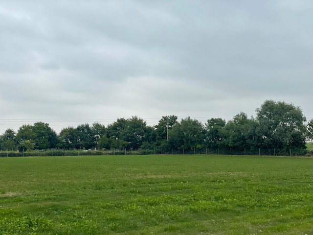 Blewbury Dog Park secure private dog field in Blewbury, OX11 9NL