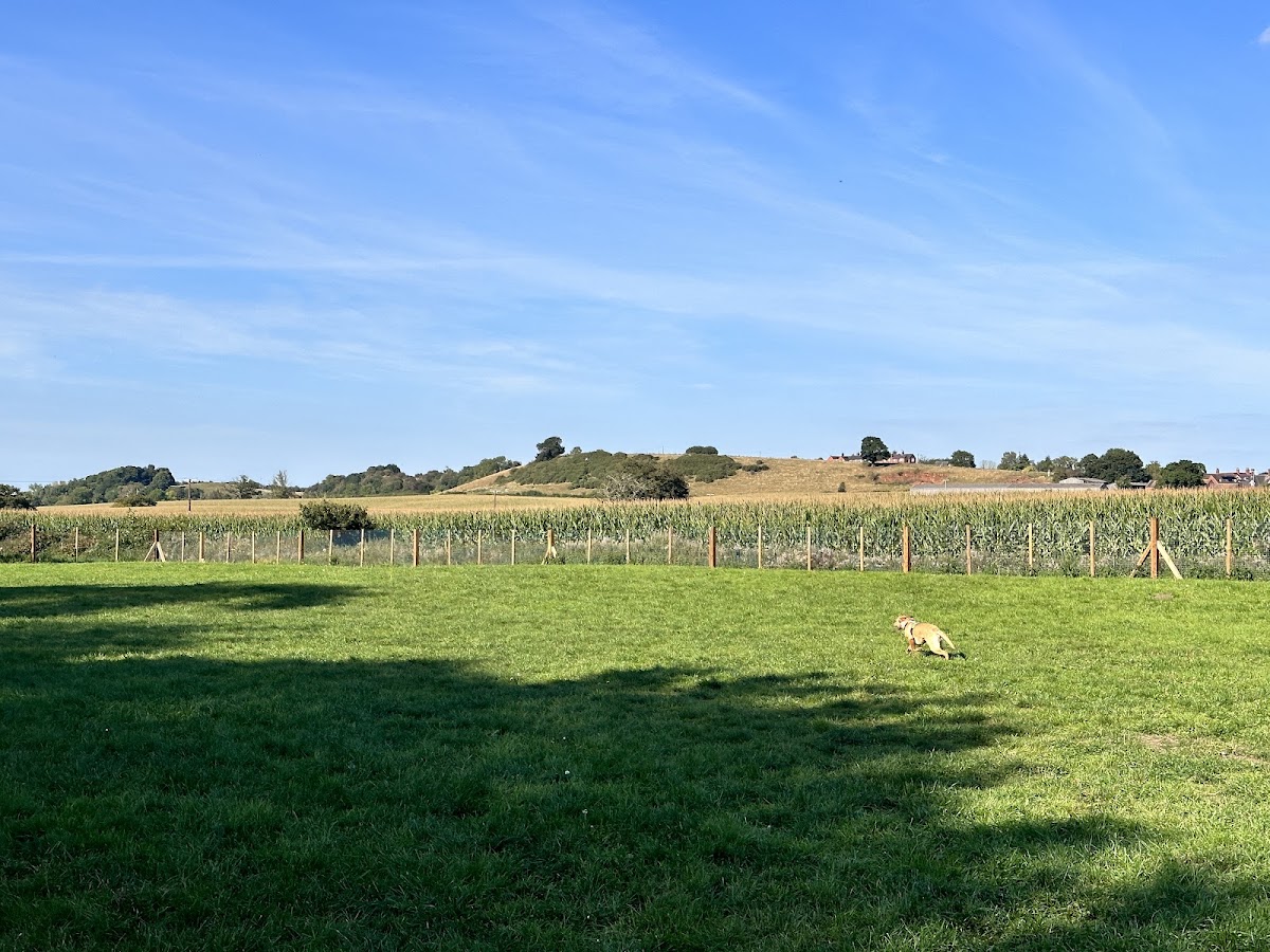 Newport Dog Park secure private dog field in Newport, TF10 9DX