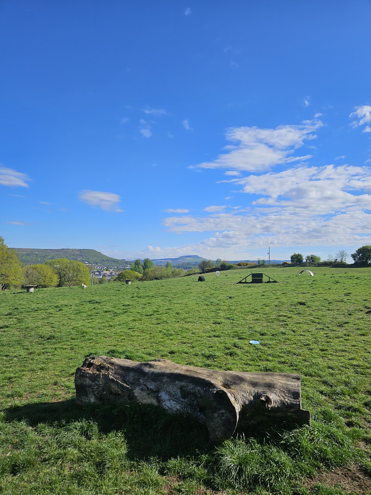 SoftPaws Adventure Park secure private dog field in Skewen, SA10 6JD