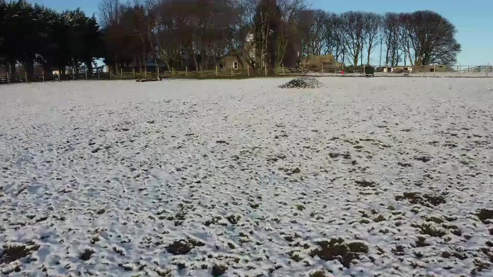 Paddock for Paws Richmond secure private dog field in Richmond, DL10 7ED