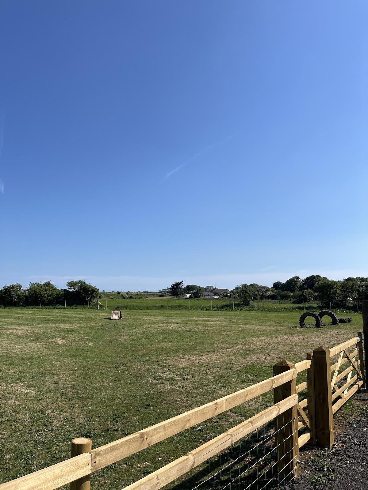 Arundel Dog Paddock secure private dog field in Arundel, BN18 0BH