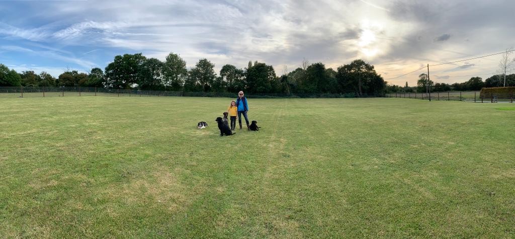 Oakleys Meadow Dog Walking Field secure private dog field in Sudbury, CO10 7AP