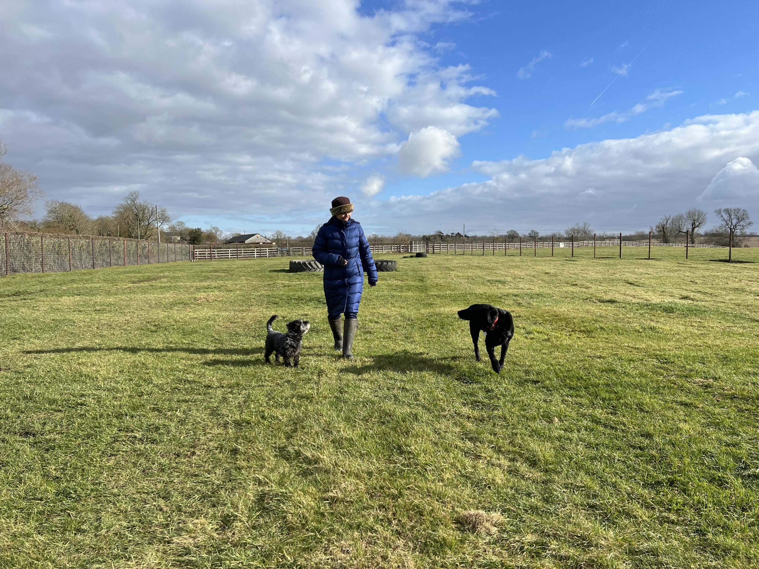 Thornborough Paws – Secure Dog Walking Field secure private dog field in Thornborough, MK18 2DY