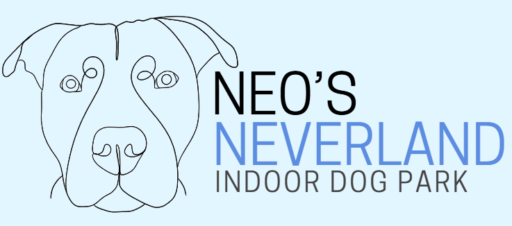 Neo's Neverland - Heathhall secure private dog field in Dumfries, DG1 3PH