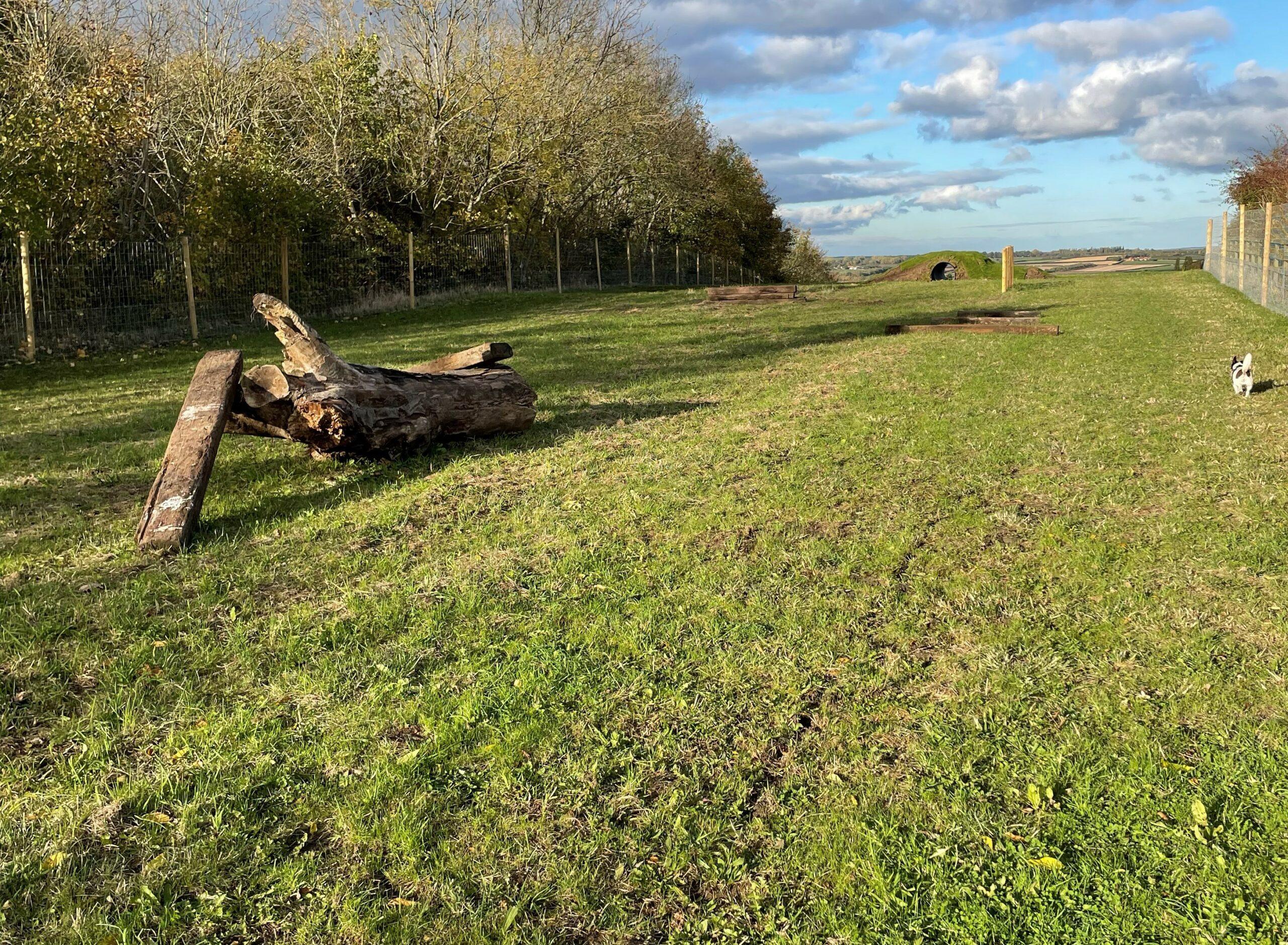 Oh my dog! Freedom fields secure private dog field in Nottingham, NG12 3BN