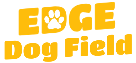 Edge Dog Field secure private dog field in Stroud, GL6 6PA