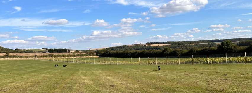 William's Den Dog Field secure private dog field in Brough, HU15 2LS