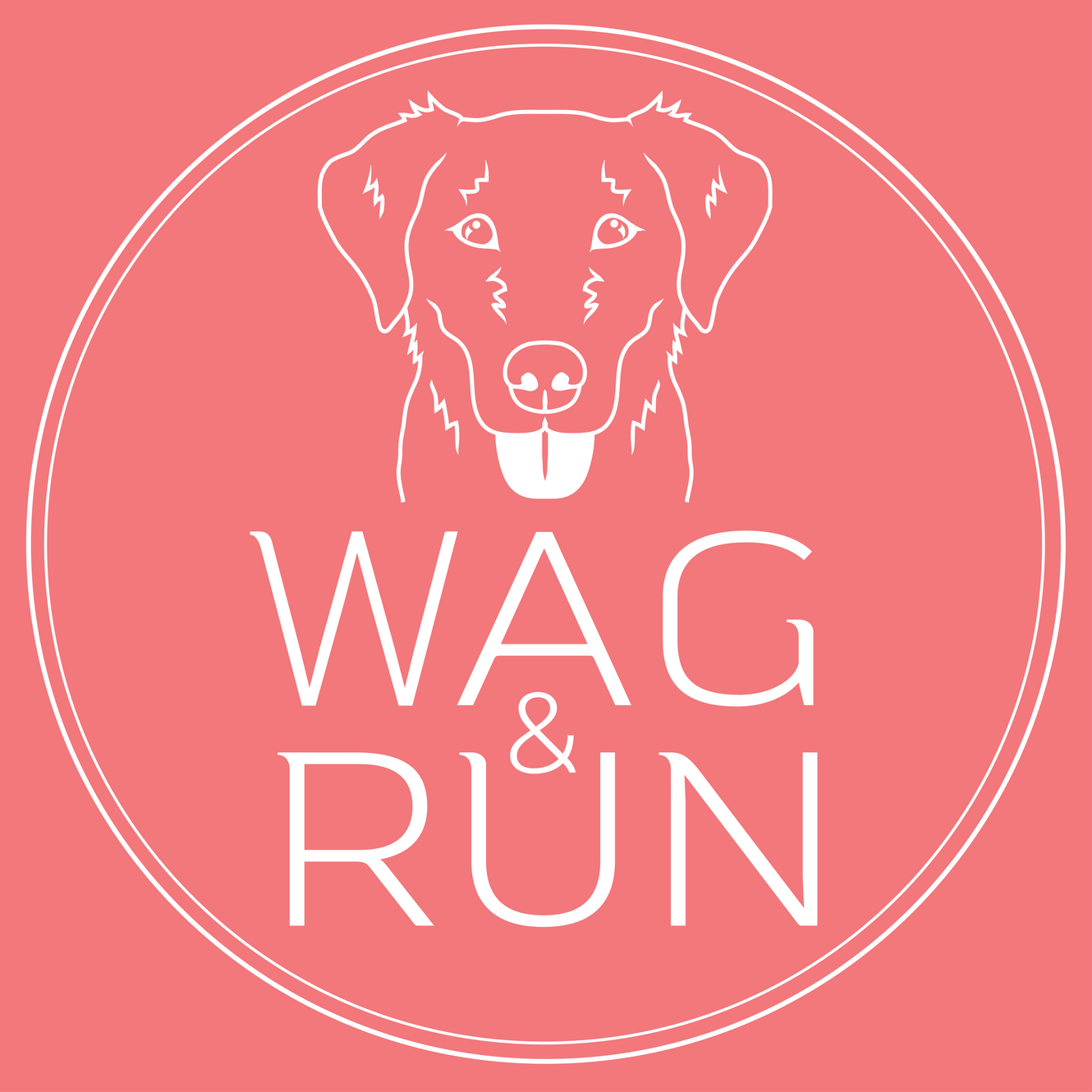 Wag&Run secure private dog field in Mauchline, KA5 5JD