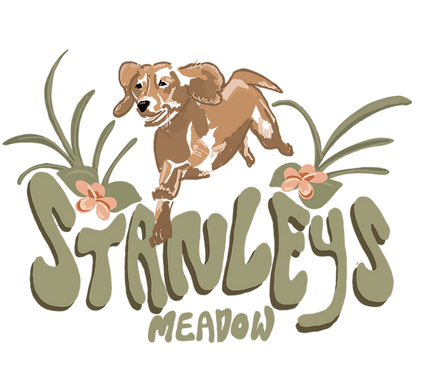 Stanley’s Meadow secure private dog field in Fareham, PO14 4HJ