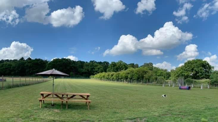 5 Star Dog Paddock Hire secure private dog field in Sandy, SG19 2AB